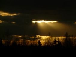 the rays of the sun behind the dark clouds above the trees