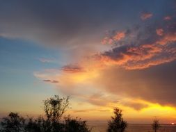 clouds in sunset over trees