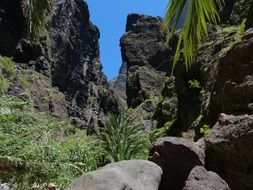 Masca is a small mountain village on the island of Tenerife