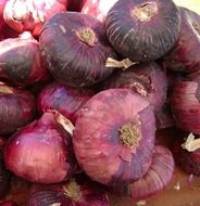 red onion lies in the grocery market