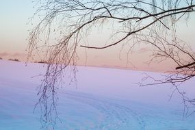 Snowy landscape in winter