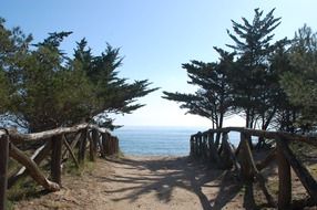 wooden fence along the road to the sea