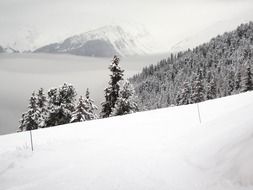 black and white photo of a snowy hillside in the Alps