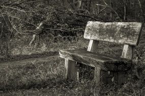 old wooden bench in a park in monochrome image