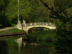 evening in the spring park