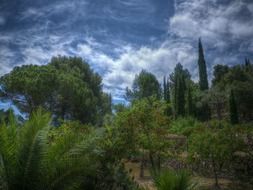 landscape of green Nature in Spain