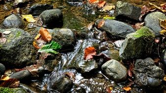 Stones in the channel of the stream