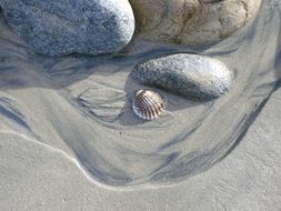 stones and cockleshell on a sandy beach