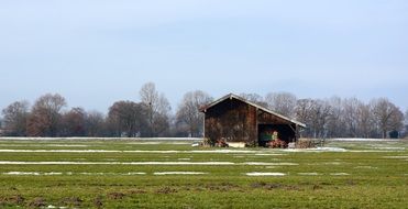 Barn on a snowy meadow