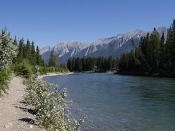 Glacial Water at Bow River