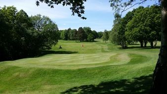 green golf course in summer