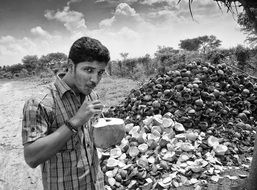 man drinks from a coconut, black white picture