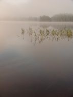 Landscape of the lake in Sweden