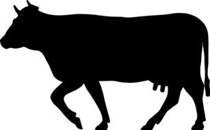 black silhouette of a cow with horns on a white background