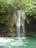Beautiful waterfall with green water among the plants