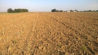 plowed field on a sunny day