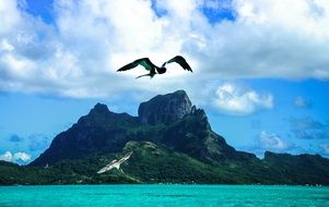 bora bora island in turquoise Pacific Ocean