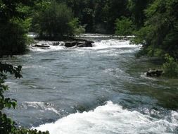 stormy forest river landscape