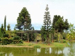 brazil botanical garden