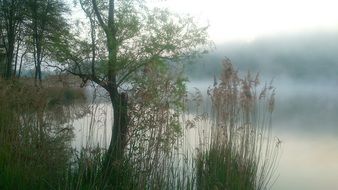 landscape of foggy sunrise over the lake