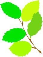 Branch with leaves clipart