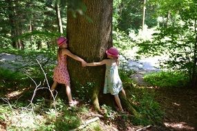 children hug the tree
