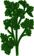 parsley as a graphic illustration