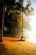 tent in the forest