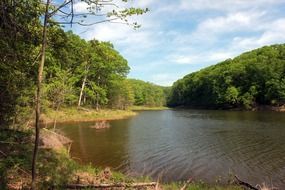 quiet forest river cuivre