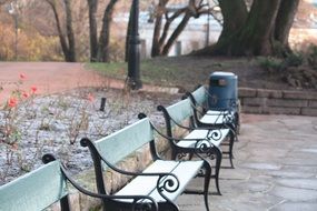 wooden benches in the park