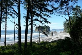 Ruby Beach in Washington State