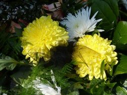 bouquet of romantic autumn flowers