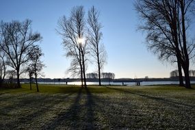 landscape of sun in bared tree branches back light