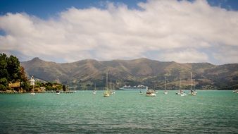 magnificent new zealand sea