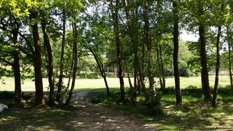 scenic golf course