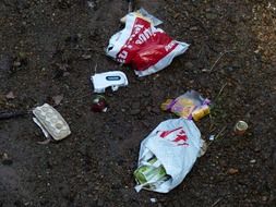 garbage forest
