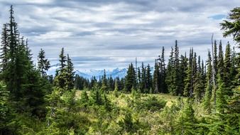 scenic distant view of mountain