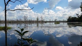 quiet lake in Cambodia