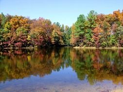 Reflection of trees in water in autumn