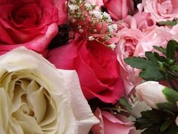 flower bouquet glaring