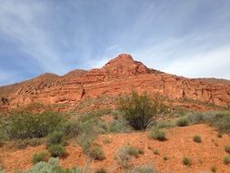 Red rock in the desert under the blue sky