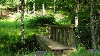 old wooden bridge in the green forest