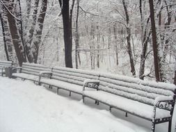 landscape of snow on park benches in Russia