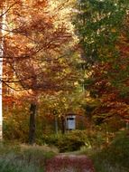 hunter's place in the autumn forest