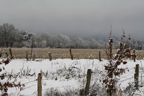 Landscape of the beautiful wintry pasture in snow