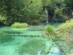 landscape of a pond with clear water in forest