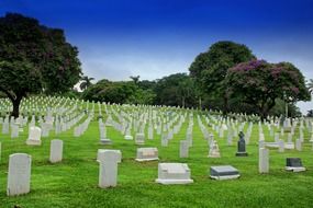 Panama cemetery