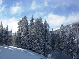 idyllic winter landscape
