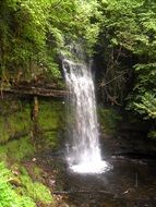 waterfall on a cliff among green trees
