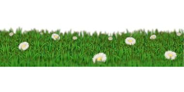 Computer image of beautiful chamomile field with white and yellow flowers among the grass